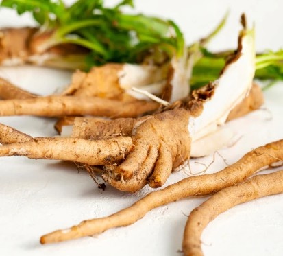 Chicory Root Inulin SlimTide™ Ingredient